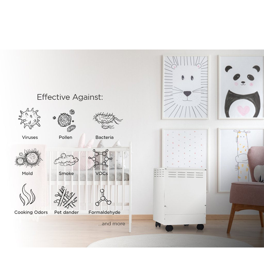 Air Purifier Smoke