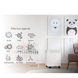 Air Purifier Smoke