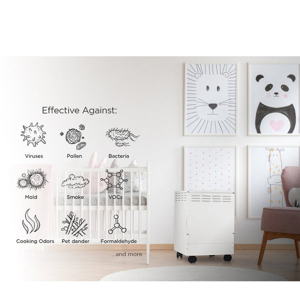 TRACS Portable HEPA-Certified EZ-Air Purifier