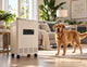 TRACS® Portable UV-C Air Purifier